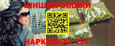 индика Шелехов