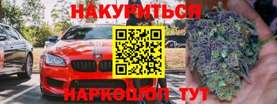 индика Шелехов