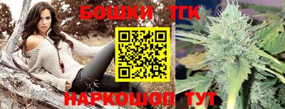индика Шелехов