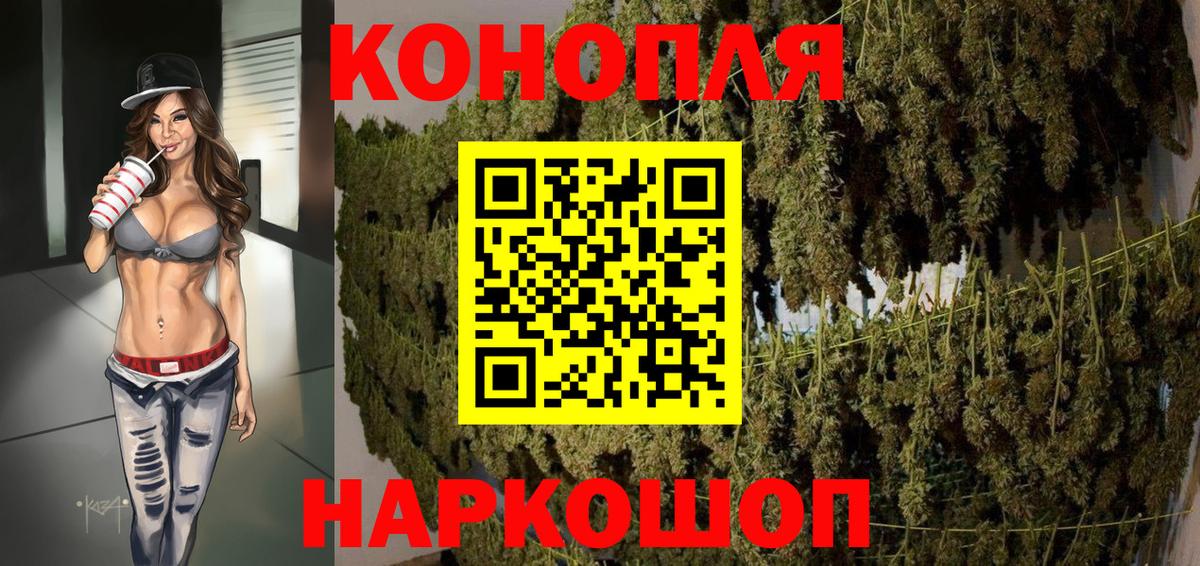 Каннабис планчик Усть-Джегута